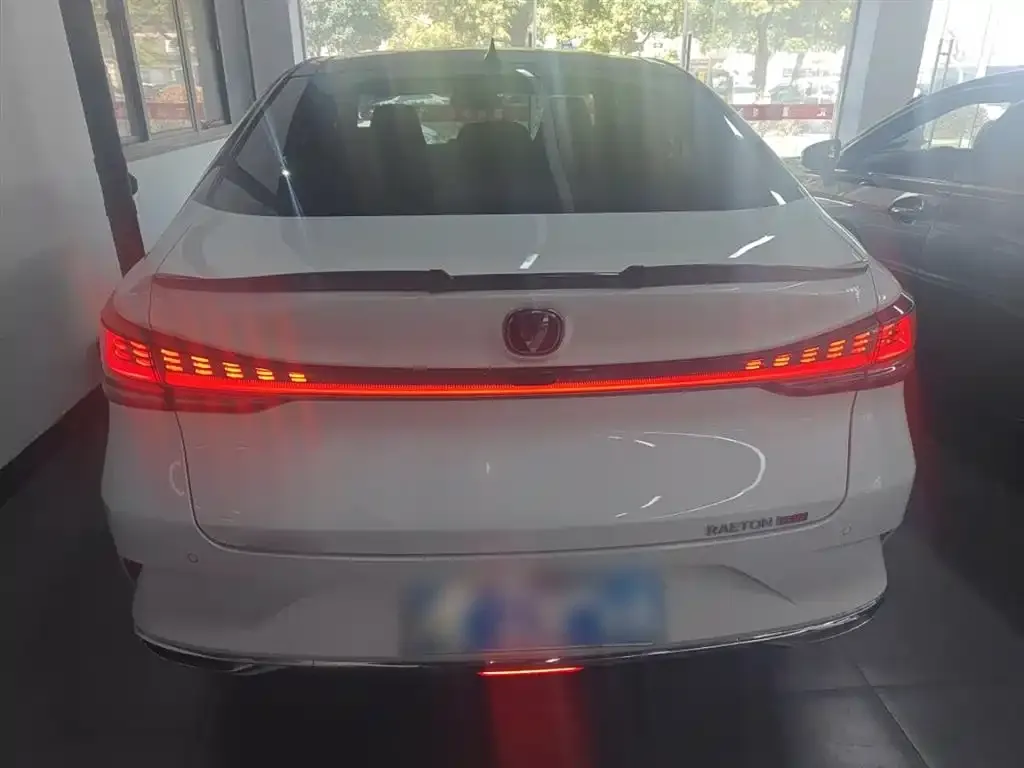 Changan Ruicheng PLUS 2023 из CN, фото 6
