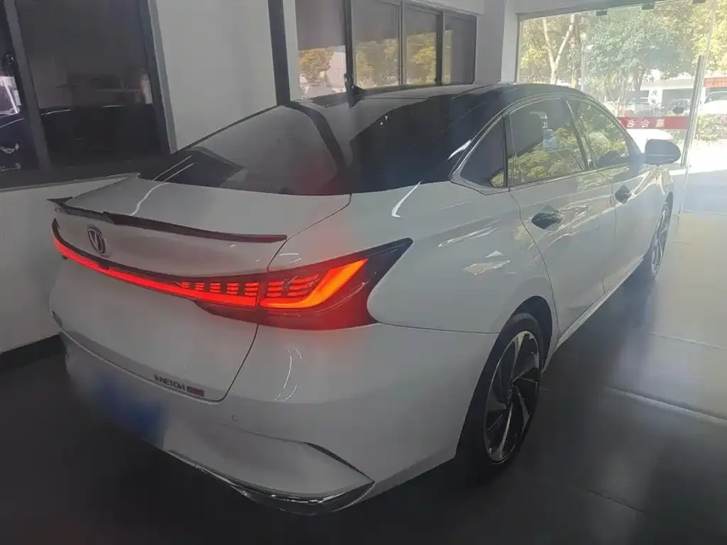 Changan Ruicheng PLUS 2023 из CN, фото 7