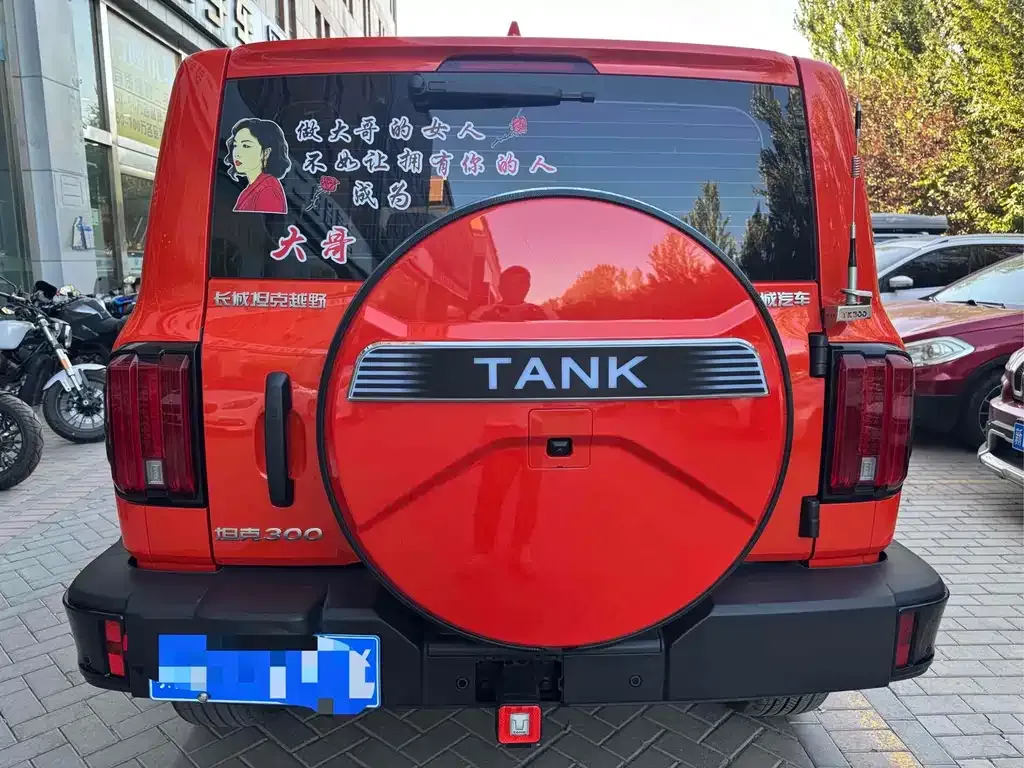 Tank 300 2025 из CN, фото 8