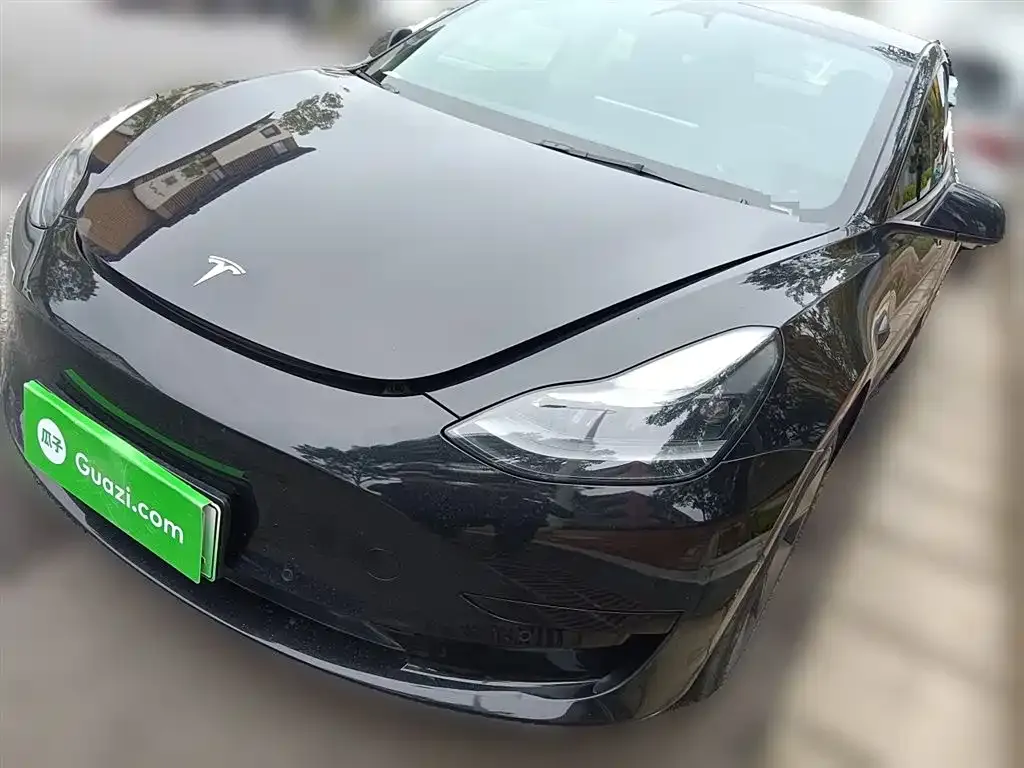 Tesla Model 3 2021 из CN, фото 2
