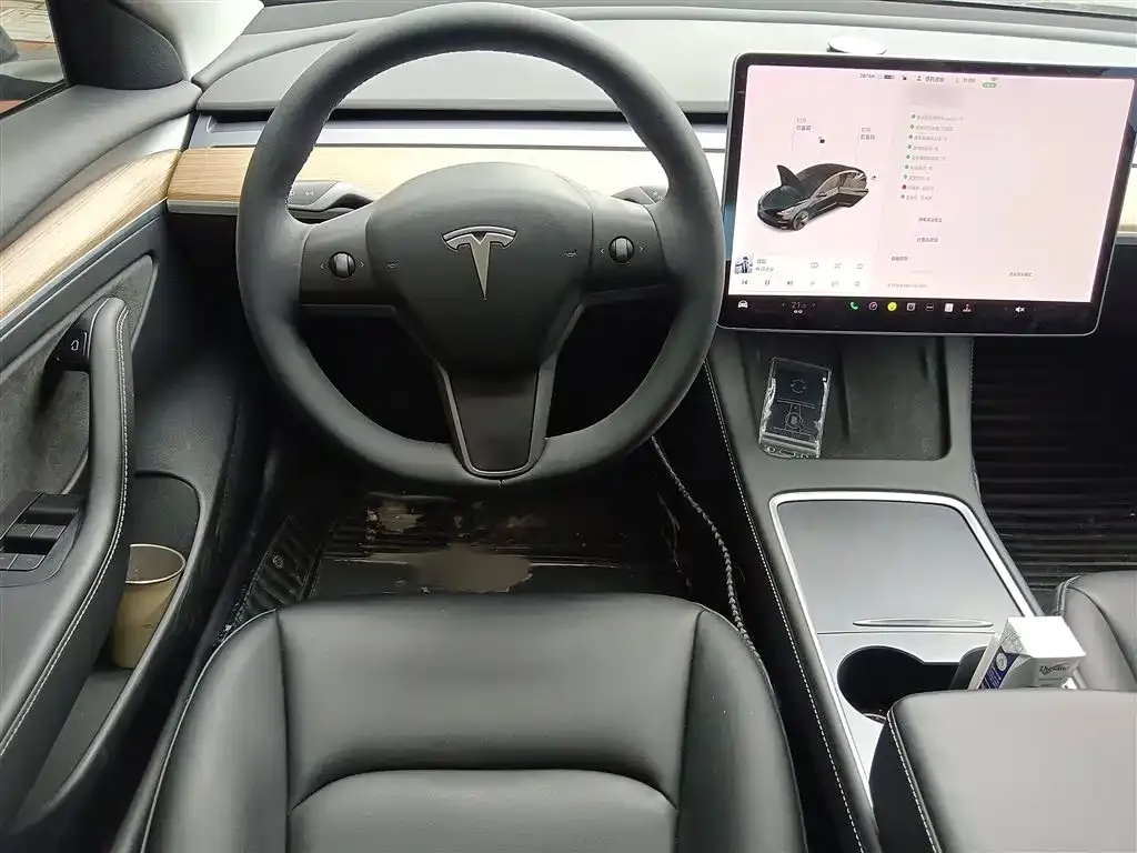 Tesla Model 3 2021 из CN, фото 3