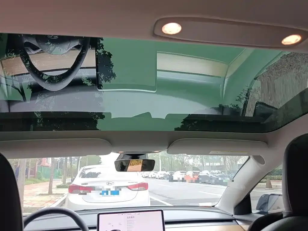Tesla Model 3 2021 из CN, фото 9