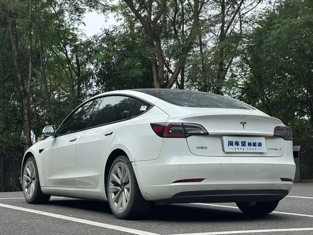 Tesla Model 3 2021 из CN, фото 3