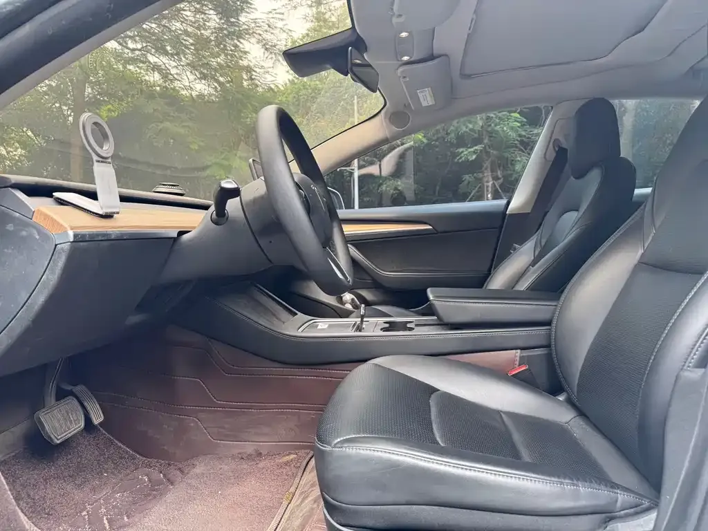 Tesla Model 3 2021 из CN, фото 4