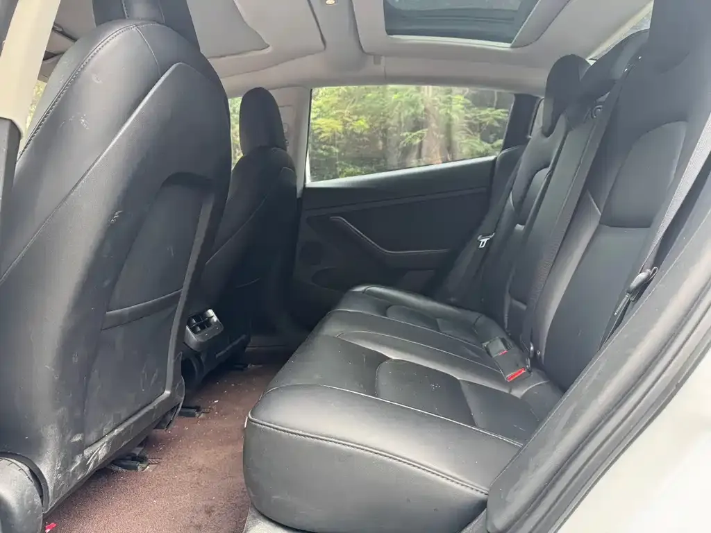 Tesla Model 3 2021 из CN, фото 5