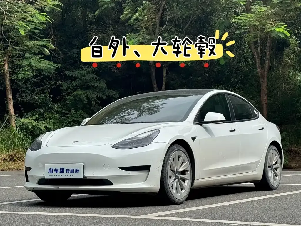Tesla Model 3 2021 из CN, фото 6