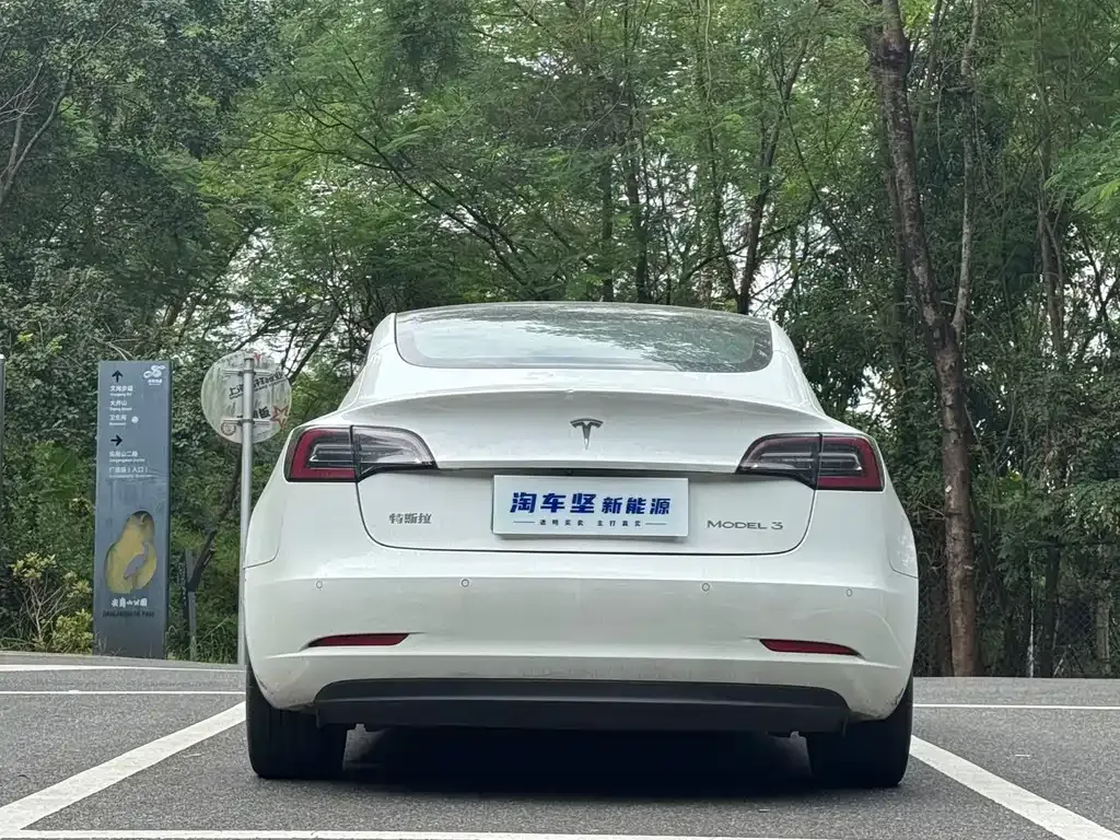 Tesla Model 3 2021 из CN, фото 8
