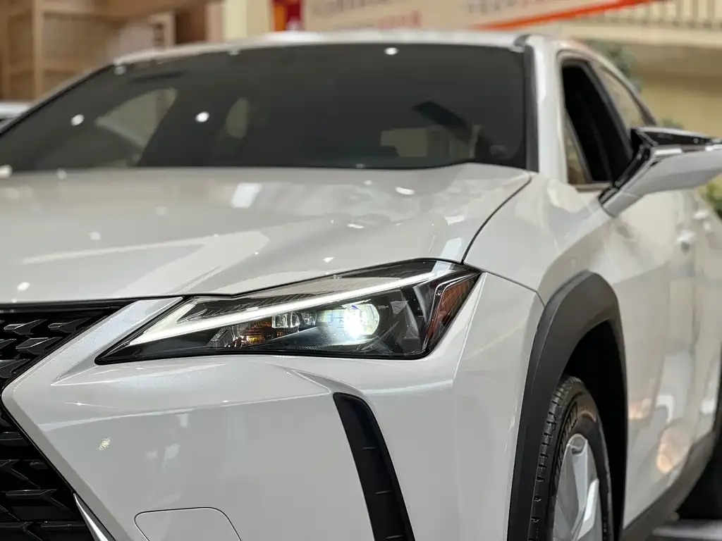 Lexus UX 2023 из CN, фото 10