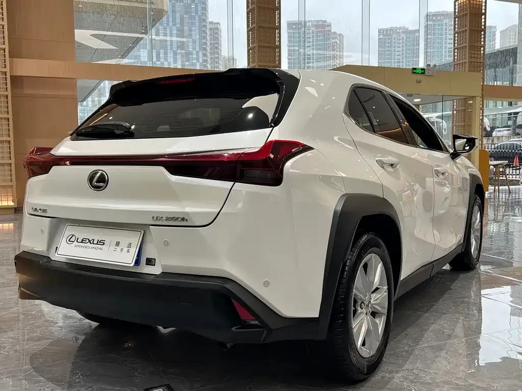 Lexus UX 2023 из CN, фото 7