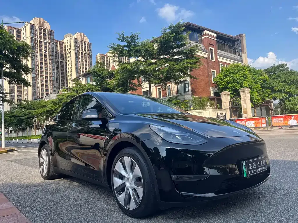 Tesla Model Y — фото 2