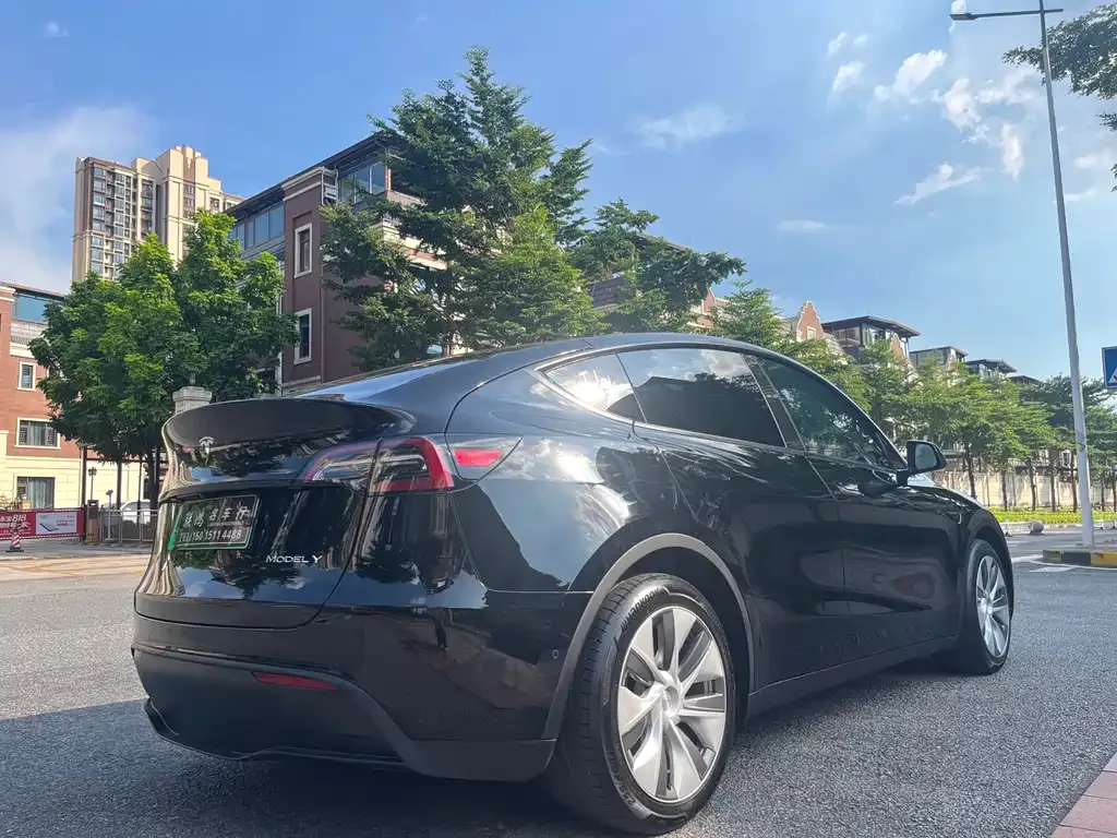 Tesla Model Y — фото 9