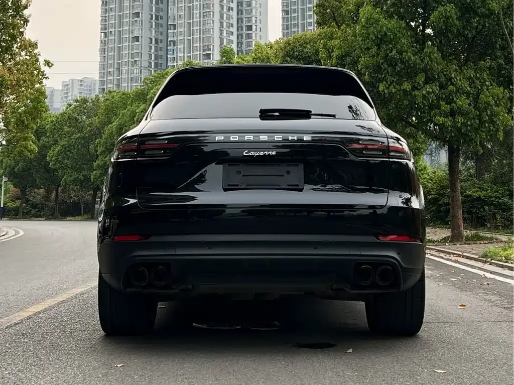 Porsche Cayenne 2021 из CN, фото 6