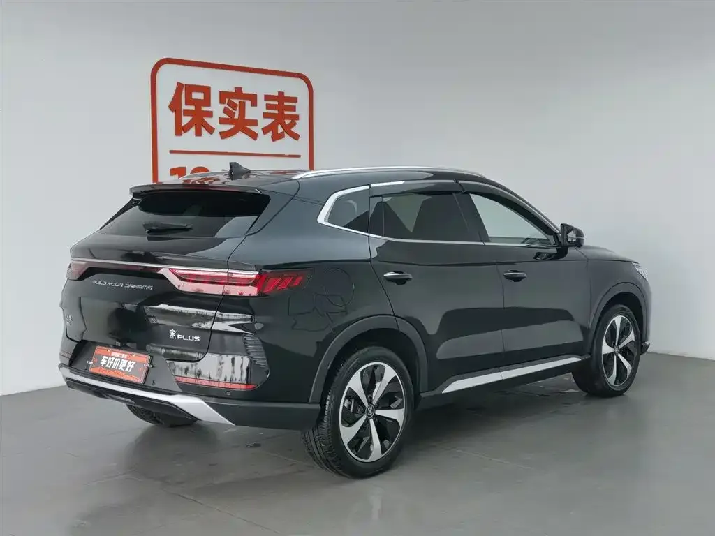 BYD PLUS New Energy 2023 из CN, фото 2