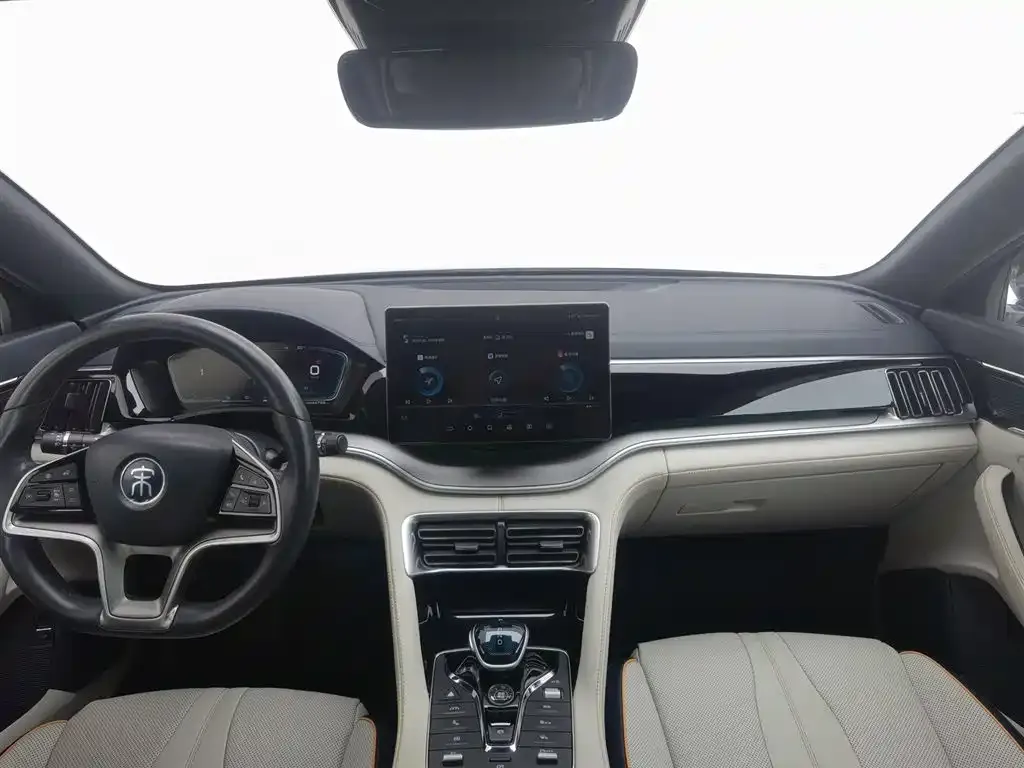 BYD PLUS New Energy 2023 из CN, фото 5