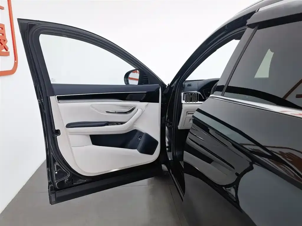 BYD PLUS New Energy 2023 из CN, фото 8
