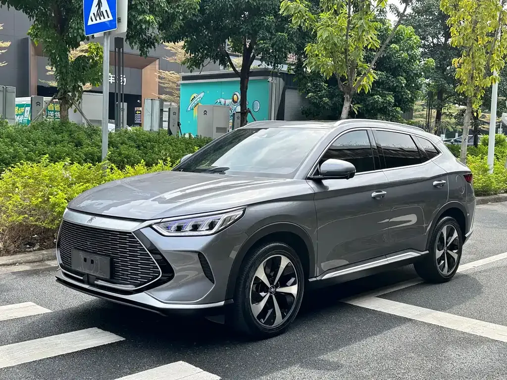 BYD PLUS New Energy 2022 из CN, фото 1