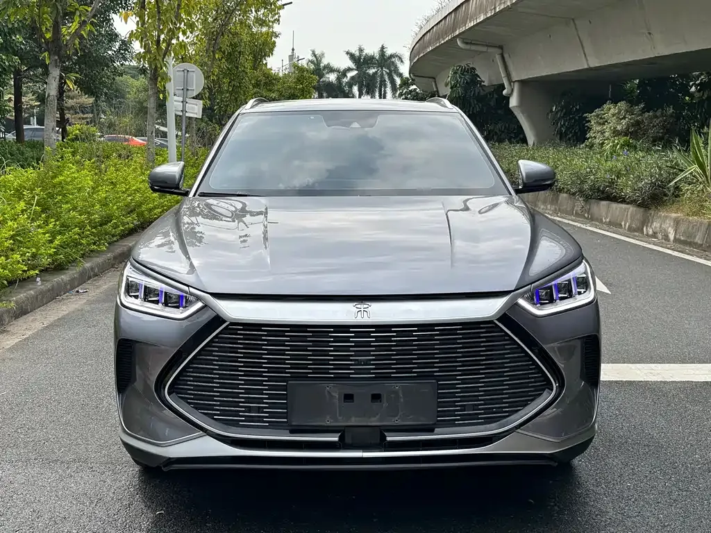 BYD PLUS New Energy 2022 из CN, фото 2