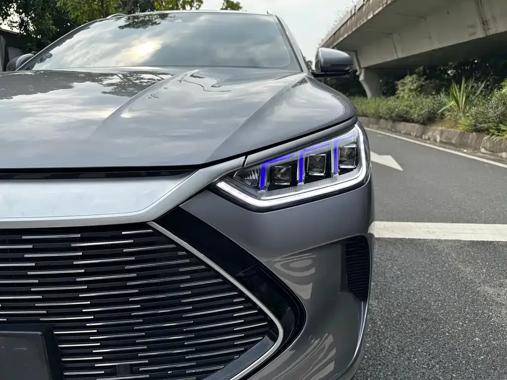 BYD PLUS New Energy 2022 из CN, фото 4