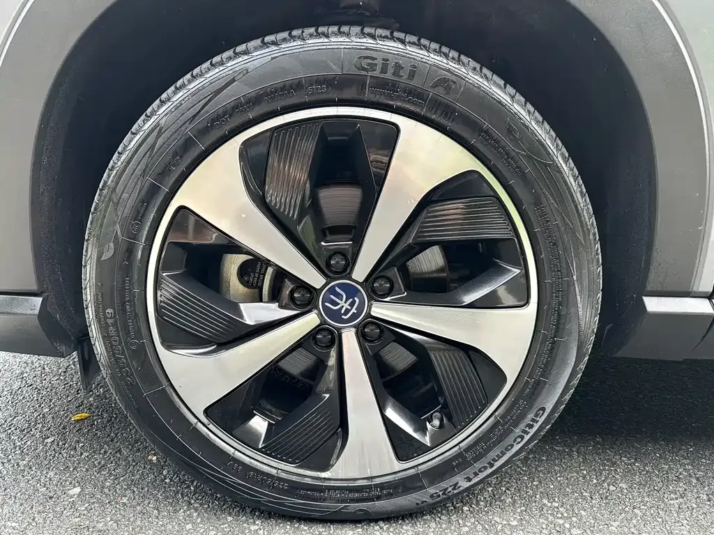 BYD PLUS New Energy 2022 из CN, фото 5