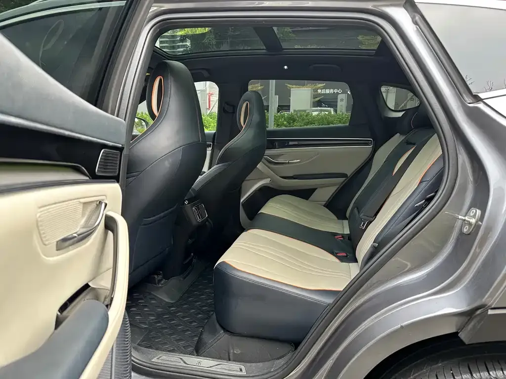 BYD PLUS New Energy 2022 из CN, фото 8