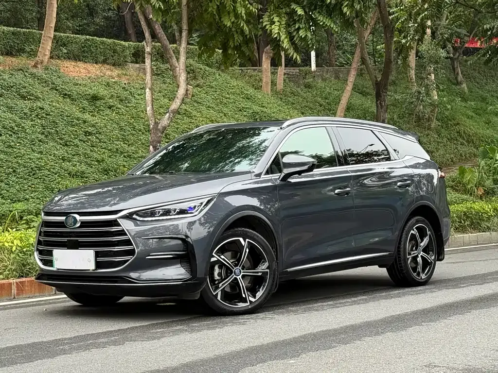 BYD Tang New Energy 2022 из CN, фото 1