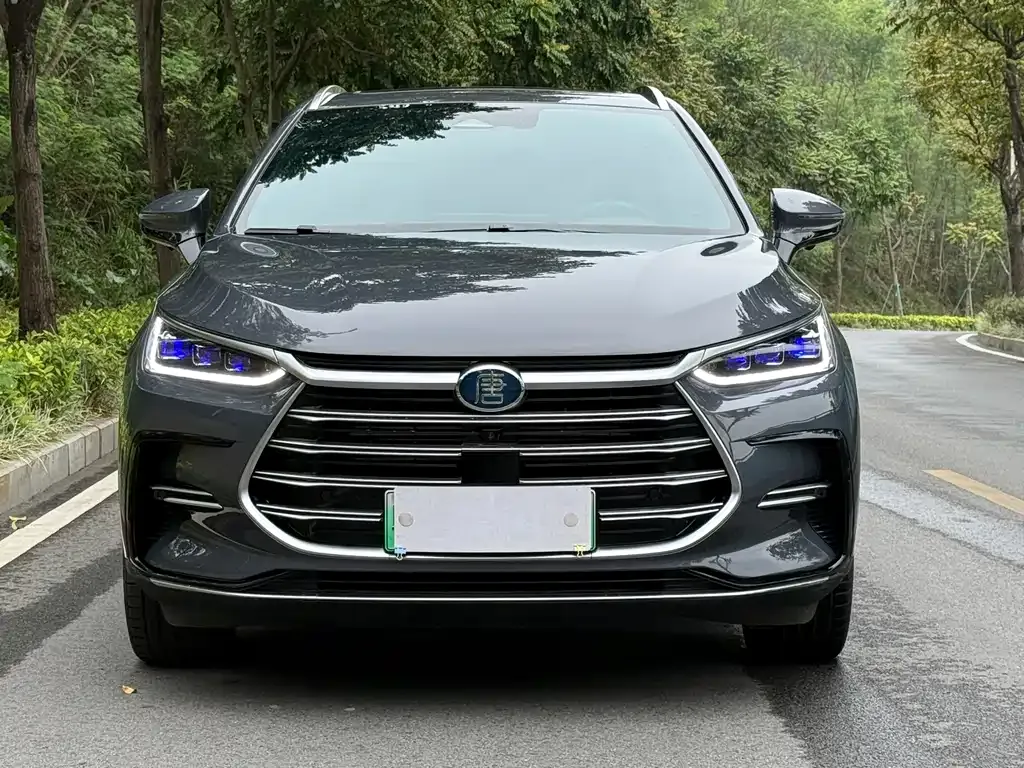 BYD Tang New Energy 2022 из CN, фото 2
