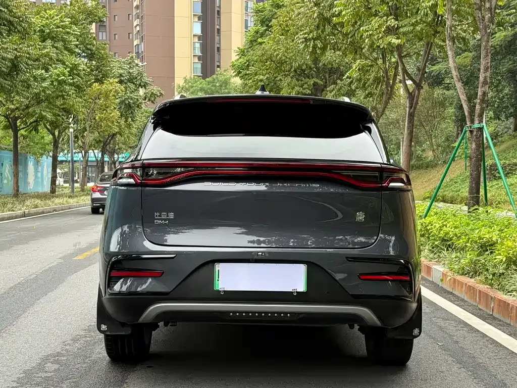 BYD Tang New Energy 2022 из CN, фото 4