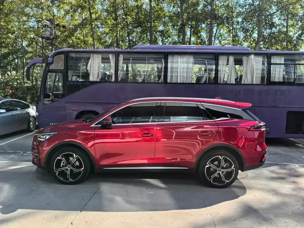 BYD Tang New Energy 2022 из CN, фото 5