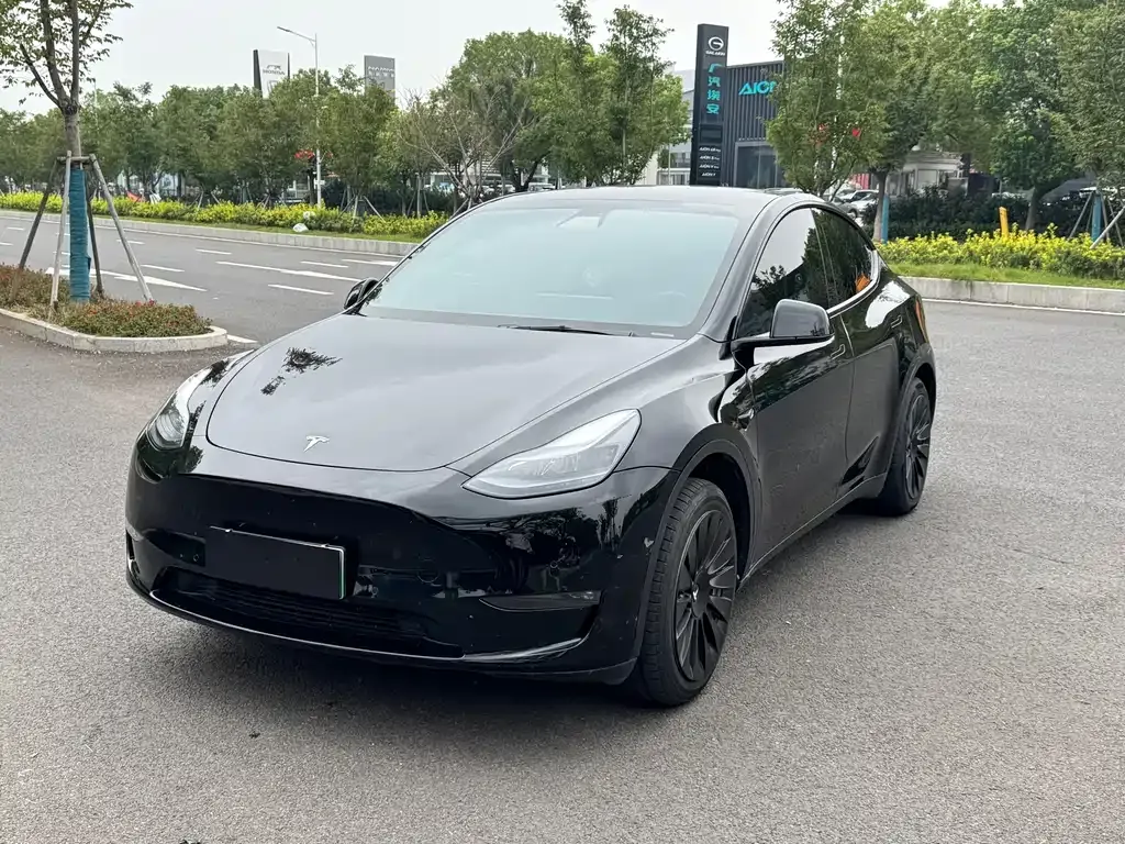 Tesla Model Y — фото 1