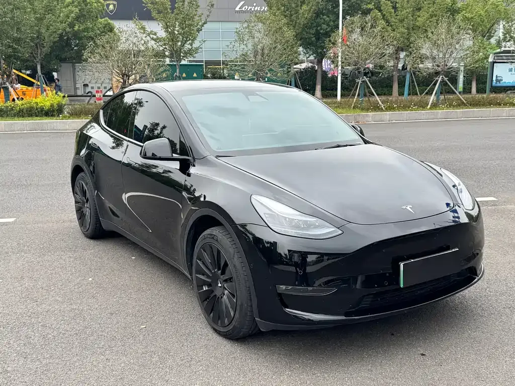 Tesla Model Y — фото 3