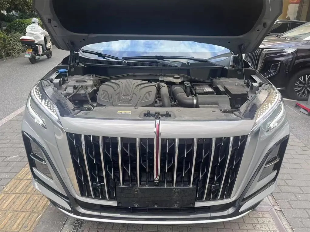 Hongqi HS3 2023 из CN, фото 5
