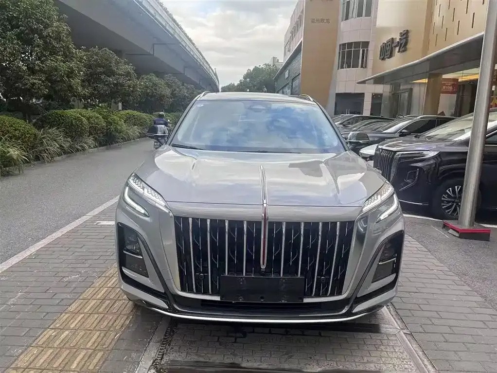 Hongqi HS3 2023 из CN, фото 7