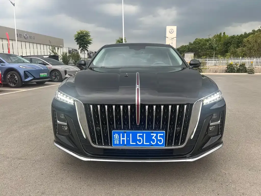 Hongqi H5 2023 из CN, фото 2