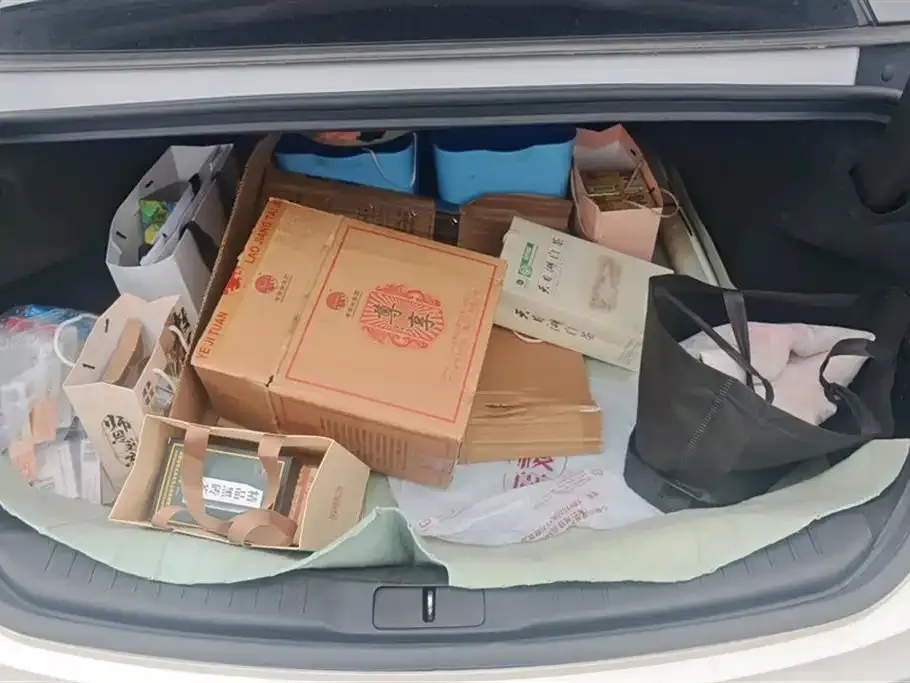 [object Object] MKZ 2021 из CN, фото 4