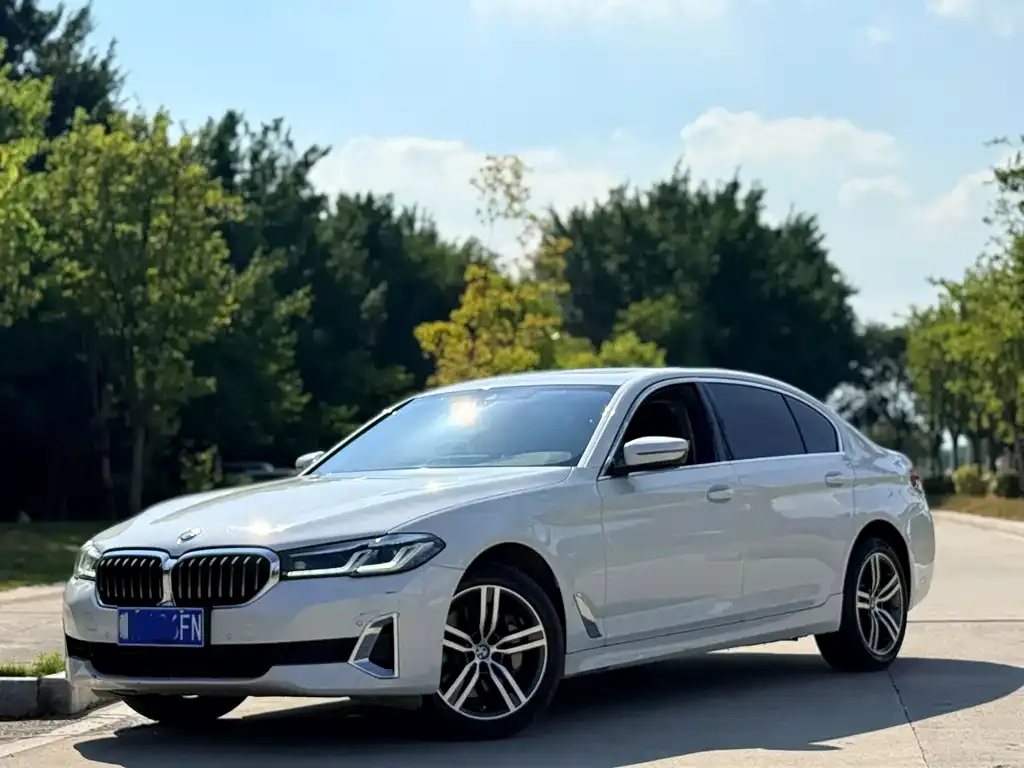 BMW 5 Series 2021 из CN, фото 1