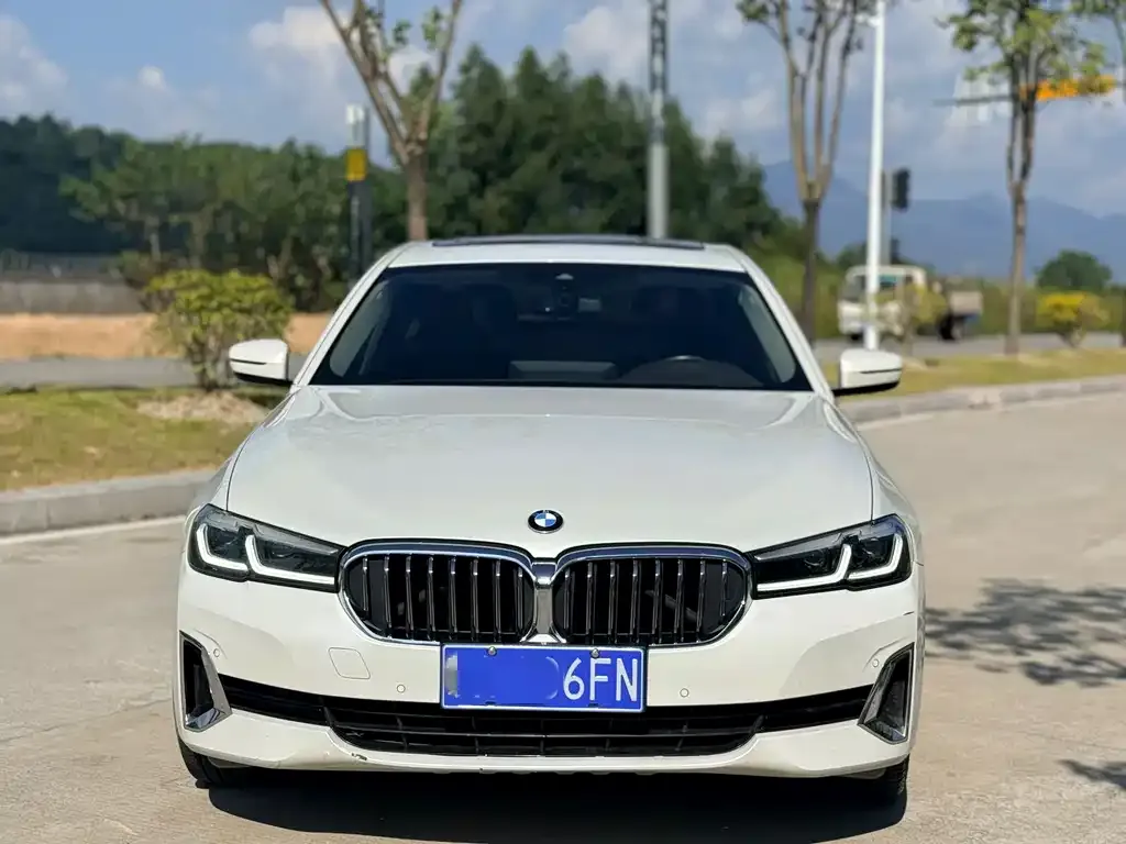 BMW 5 Series 2021 из CN, фото 2