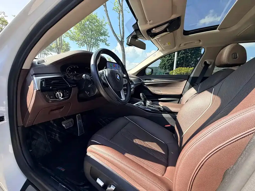 BMW 5 Series 2021 из CN, фото 3