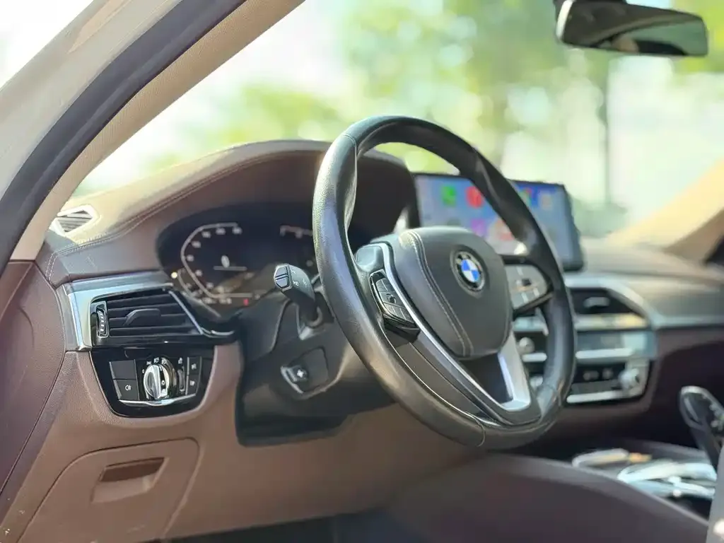 BMW 5 Series 2021 из CN, фото 4