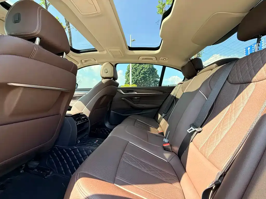 BMW 5 Series 2021 из CN, фото 6
