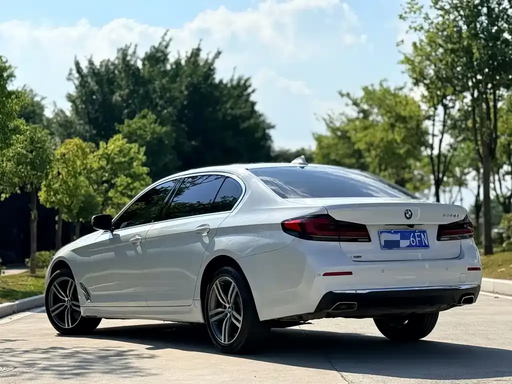 BMW 5 Series 2021 из CN, фото 7
