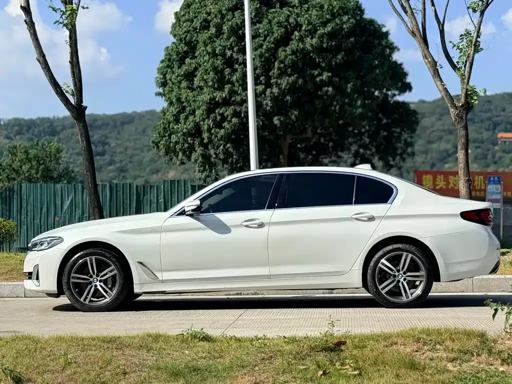 BMW 5 Series 2021 из CN, фото 8