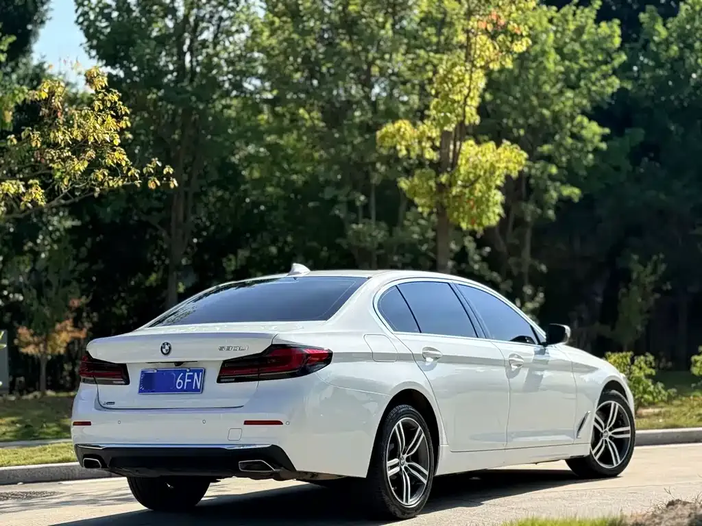 BMW 5 Series 2021 из CN, фото 9
