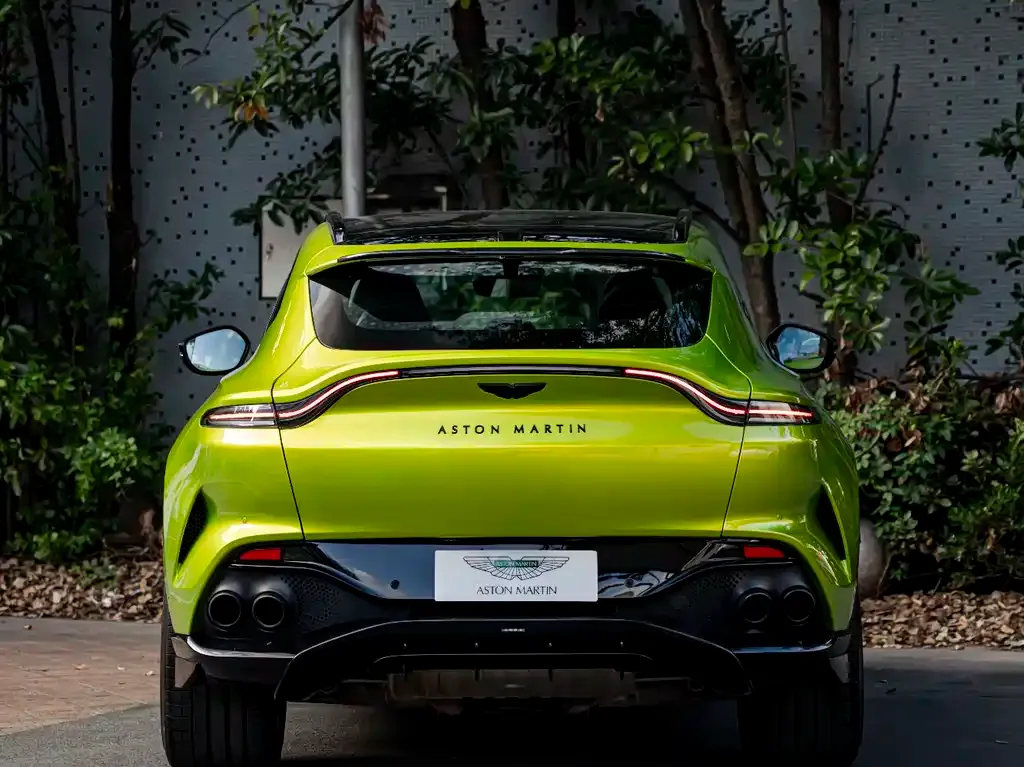 Aston Martin DBX 2023 из CN, фото 5
