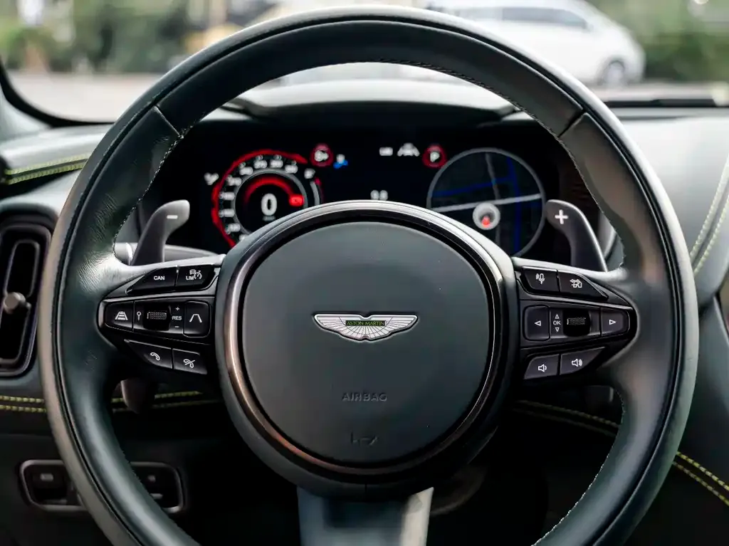 Aston Martin DBX 2023 из CN, фото 8