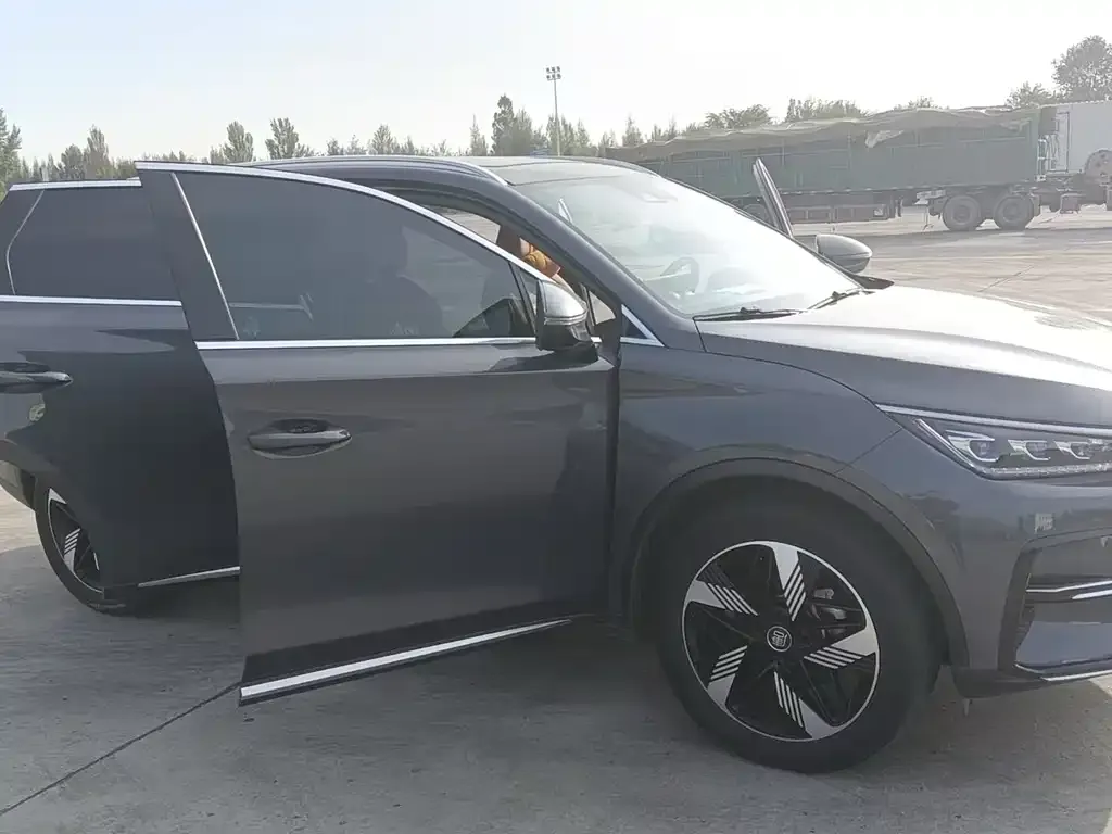 BYD Tang New Energy 2023 из CN, фото 10