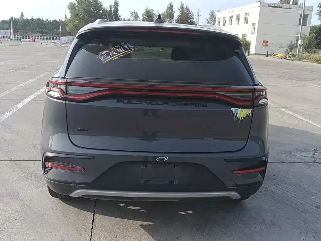 BYD Tang New Energy 2023 из CN, фото 4