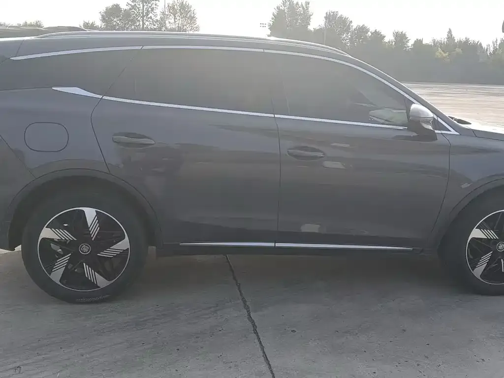 BYD Tang New Energy 2023 из CN, фото 5