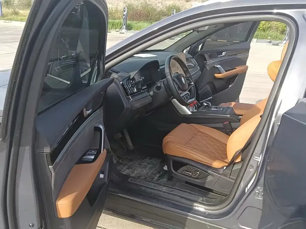 BYD Tang New Energy 2023 из CN, фото 6