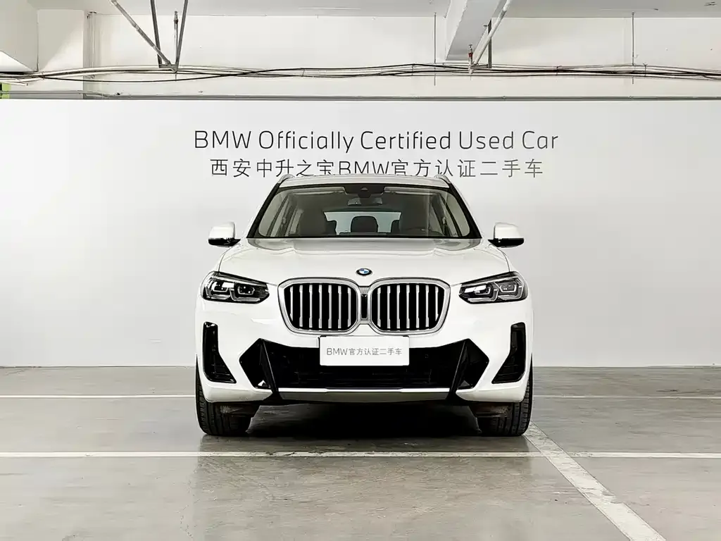 BMW X3 2024 из CN, фото 2