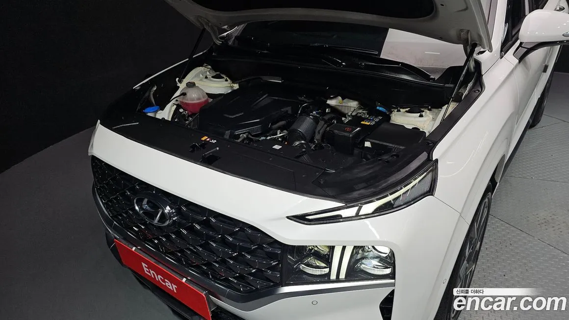 Hyundai Santafe 2021 из KR, фото 6